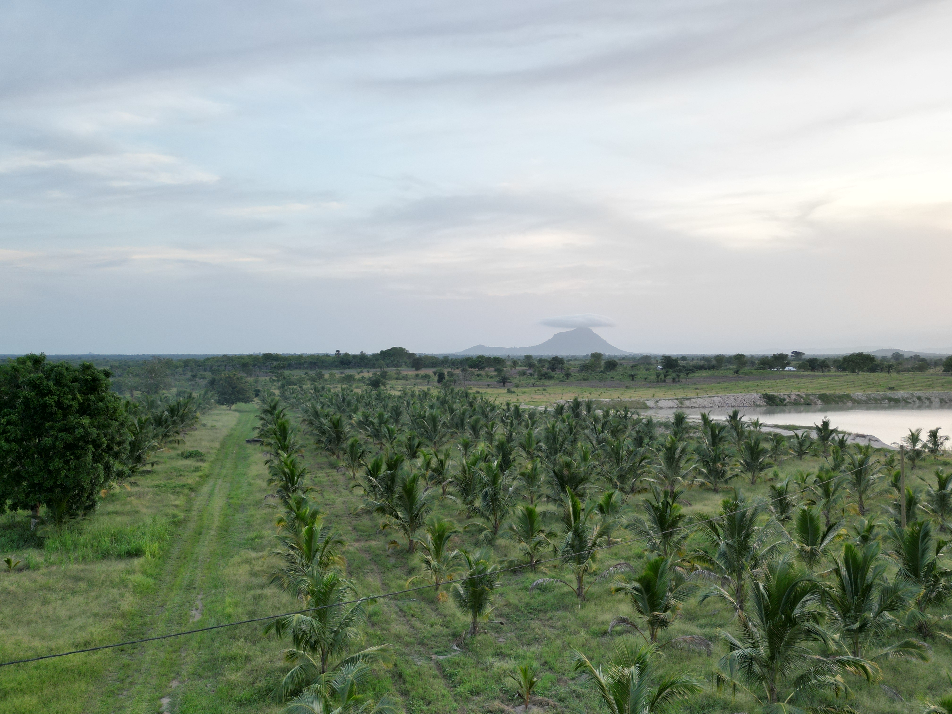 The nature view of Praise City Eco Park using a bird eye view