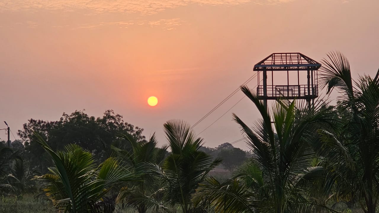 Nature view of the Zip Line