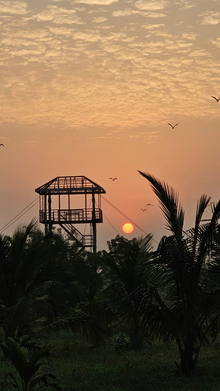 Nature view of the Zip Line