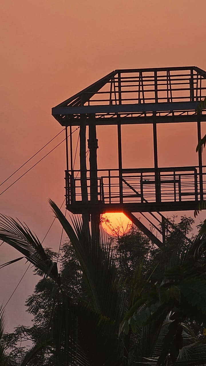 Nature view of the Zip Line