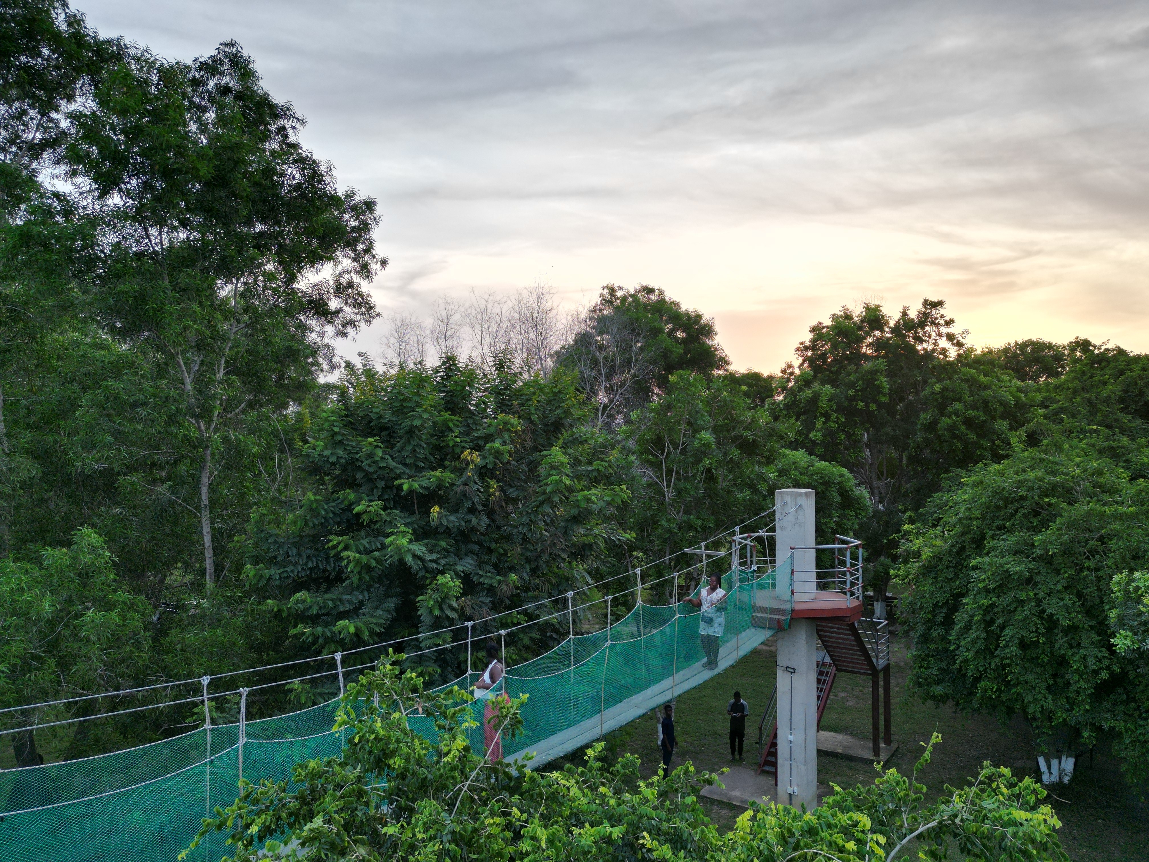 Canopy Walk for group of 10